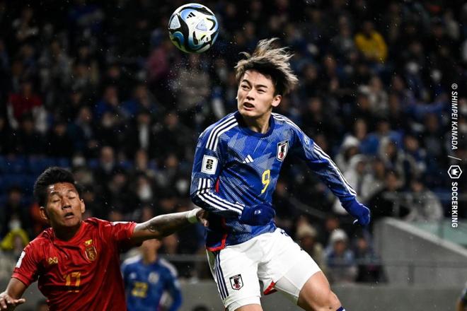 在这篇文章 在这篇文章