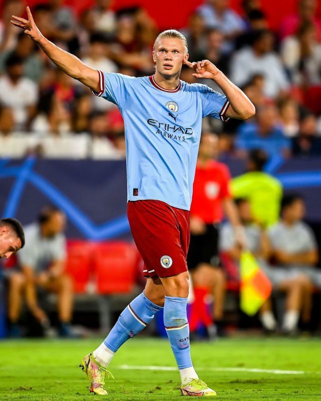 新东家拥有 新东家拥有