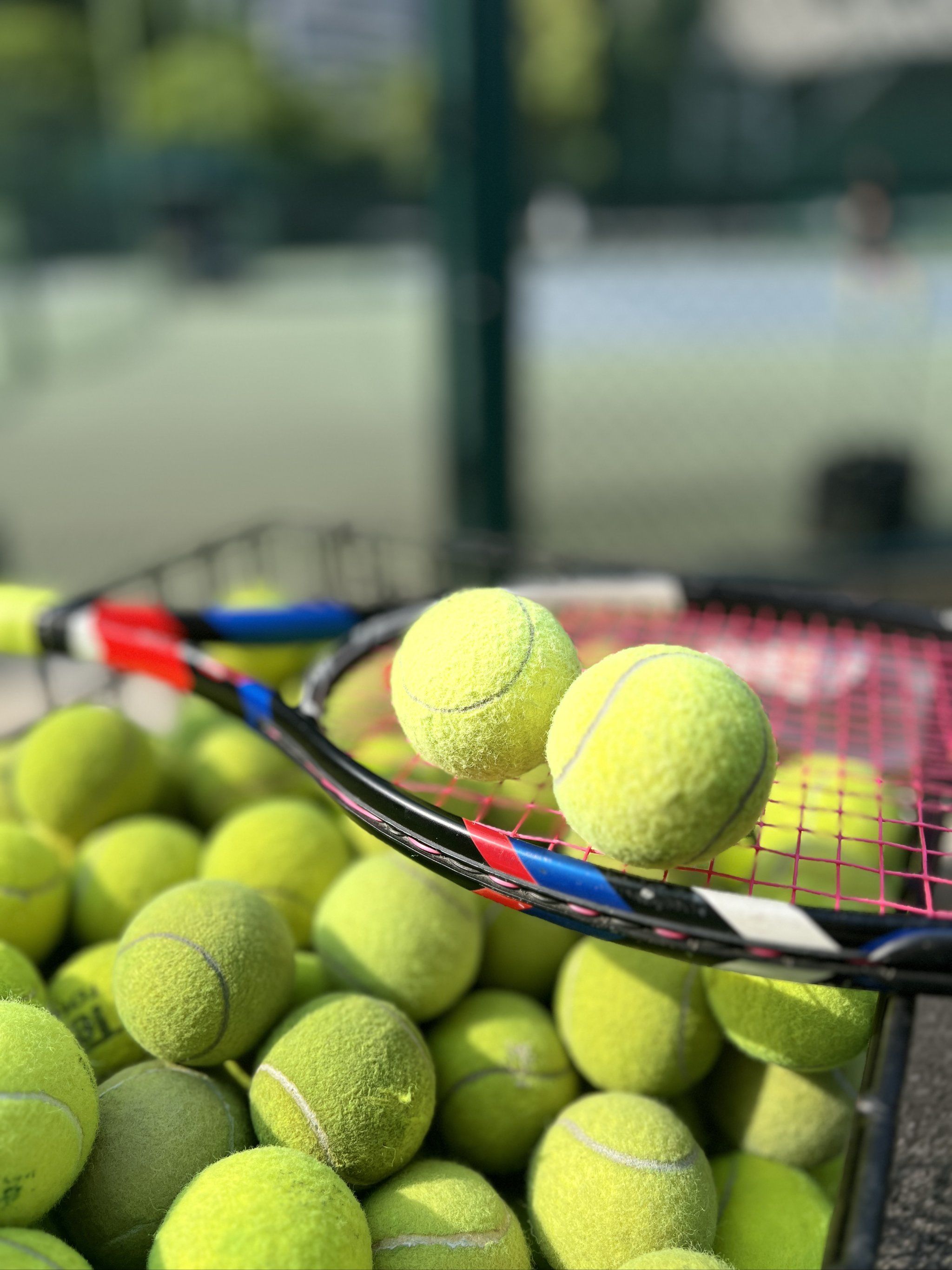 球队表现的 球队表现的